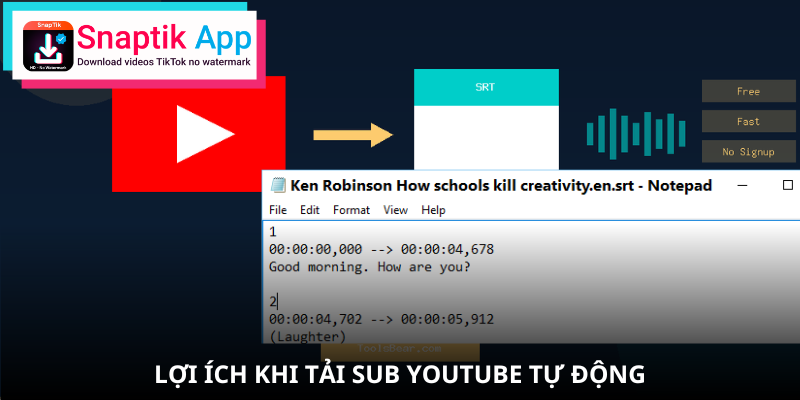 sub-youtube-srt-loi-ich